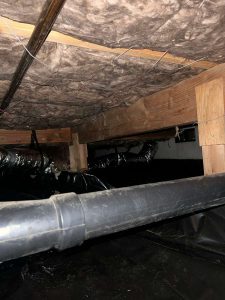 Gallery 2023 11 22 3