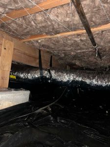 Gallery 2023 11 22 4